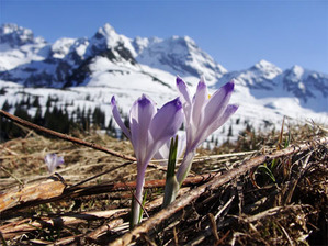 Ilustracja: Całe Tatry wkrótce w jednym atlasie <br />
fot. JK