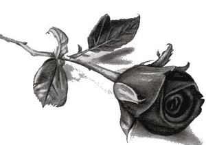 Ilustracja: Zmarła prof. Halina Hutorowicz