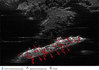 Ilustracja: Costa Concordia monitorowana z orbity  