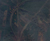 Ilustracja: Nowe zdjęcia w Google Earth