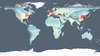 Ilustracja: Pierwsza taka satelitarna mapa zanieczyszczenia powietrza