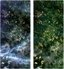 Ilustracja: Dane z satelitów Sentinel-2 wchodzą na wyższy poziom