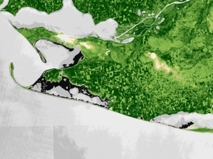 Ilustracja: Satelity obliczyły wpływ wojny na rolnictwo Ukrainy <br />
Wizualizacja wskaźnika NDVI dla fragmentu płd. Ukrainy