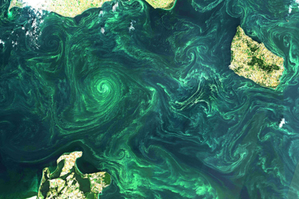 Ilustracja: II Konferencja - Wykorzystanie danych obserwacji Ziemi i danych programu Copernicus