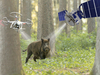 Ilustracja: Czujniki GNSS i drony pomogą w walce z ASF