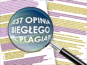 Ilustracja: Do prokuratury wpłynęła opinia ws. plagiatu