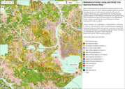 Ilustracja: Szczegółowa mapa drzew Puszczy Białowieskiej dostępna on-line