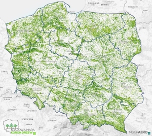 Ilustracja: MGGP Aero prezentuje Krajową Mapę Koron Drzew