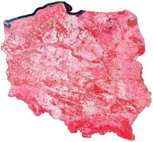 Ilustracja: Ortofotomapa satelitarna Polski już w Geoportalu <br />
Ortofotomapa CIR