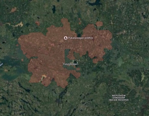 Ilustracja: Mapy Google lepiej ostrzegą przed powodzią czy pożarem <br />
Wizualizacja zagrożenia pożarowego