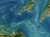 Ilustracja: <b class=pic_title>Wybrane przez NASA zdjęcia satelitarne roku 2021</b> <br />
<br />
<b class=pic_description>Te efektownie układające się smugi na Morzu Ochockim u wschodnich wybrzeży Rosji to efekt wysokich pływów. Zjawisko zarejestrował satelita Landsat 8</b> <br />
<br />
<b class=pic_author>fot.  NASA</b><br />
<br />

